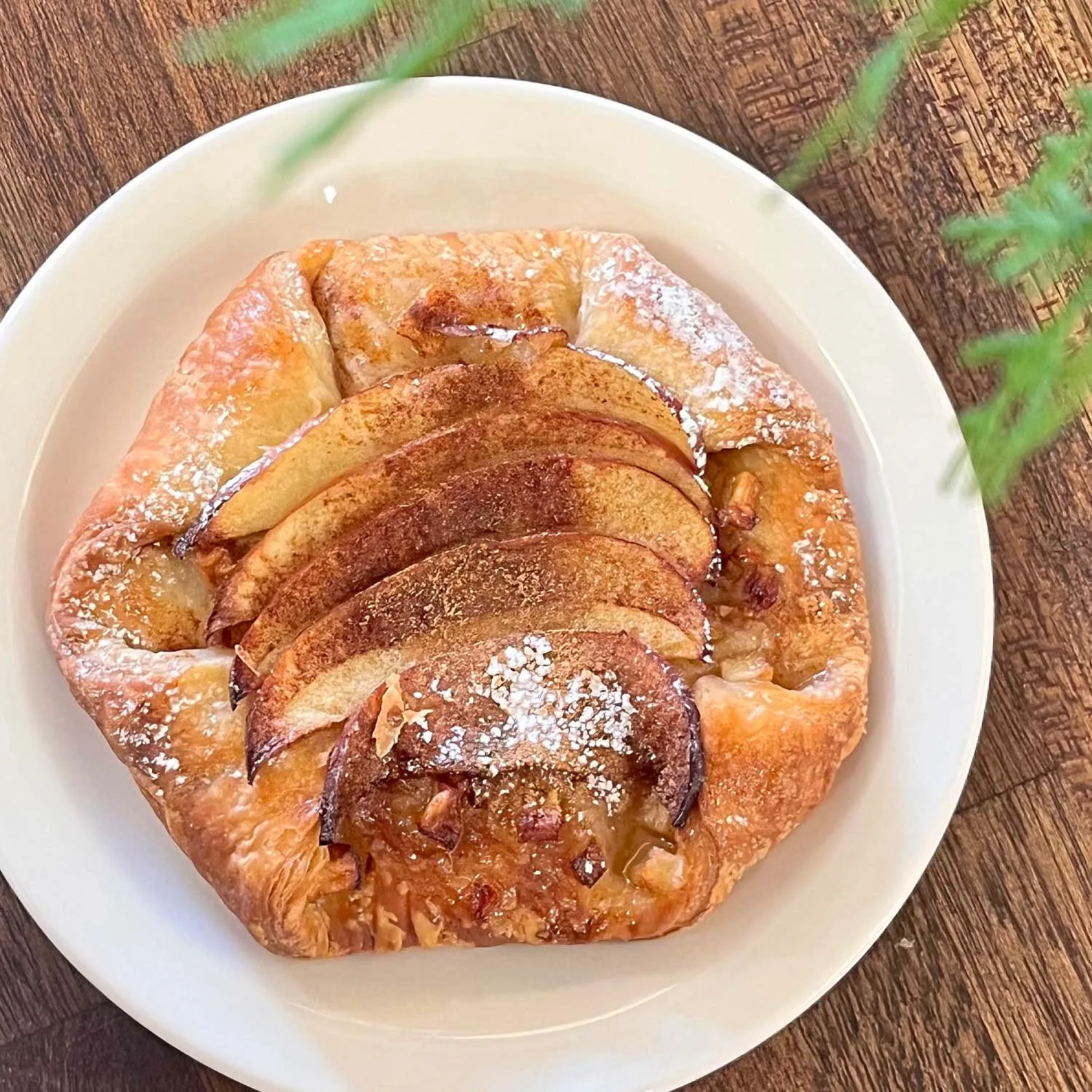 팀리커피로스터스