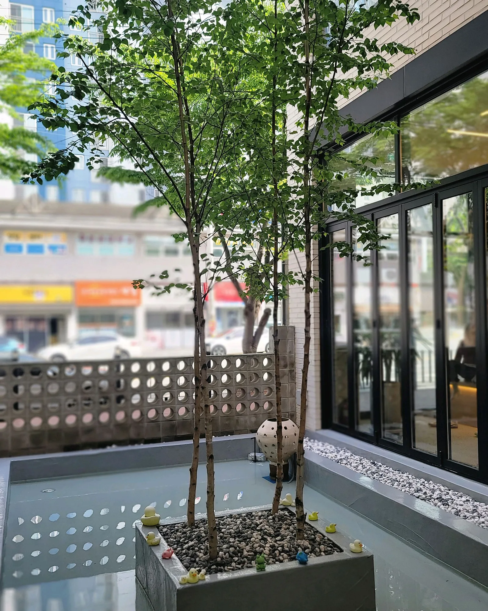 셀리스트 로스터리