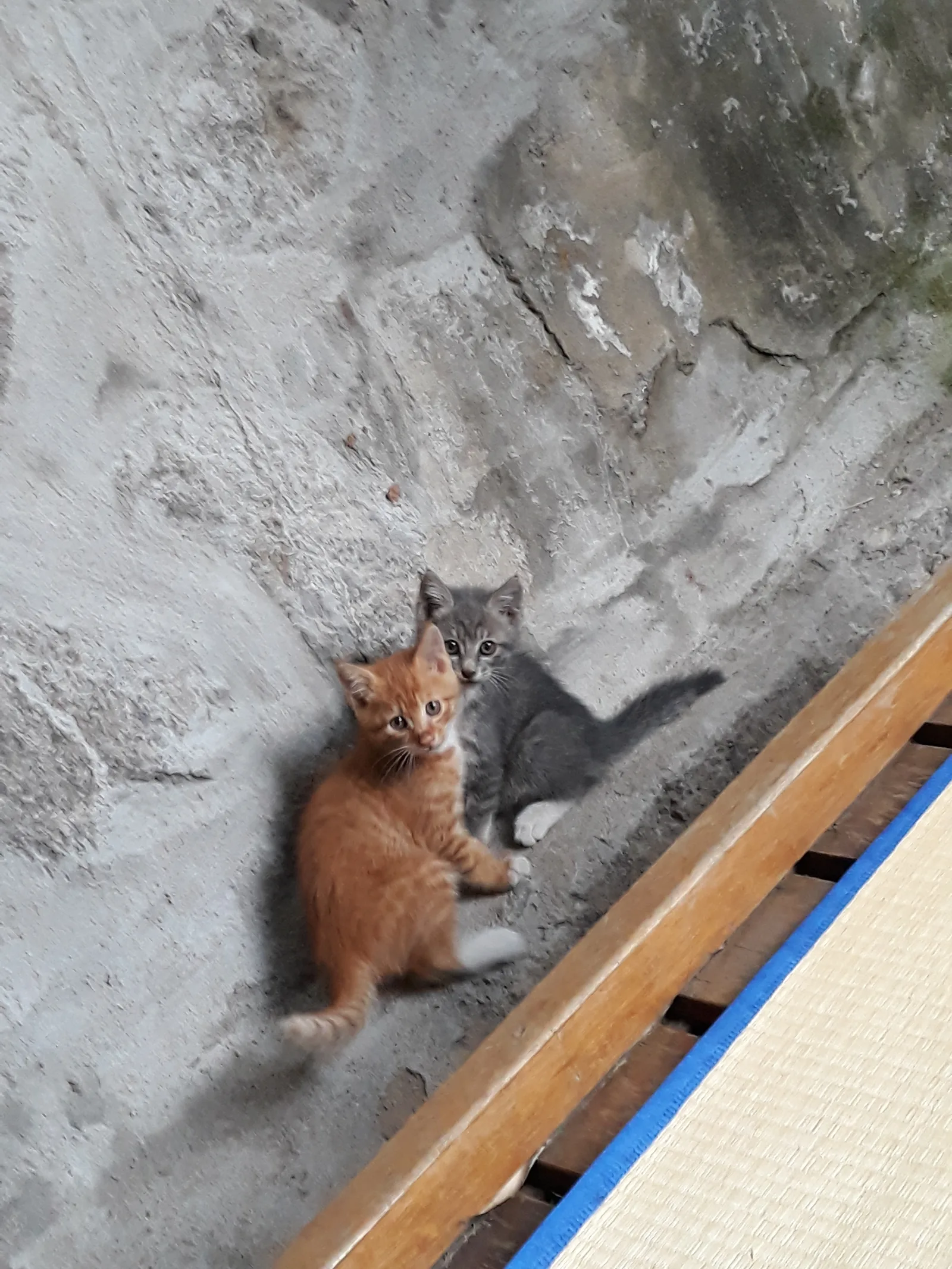 북촌전통발효공방 빚담