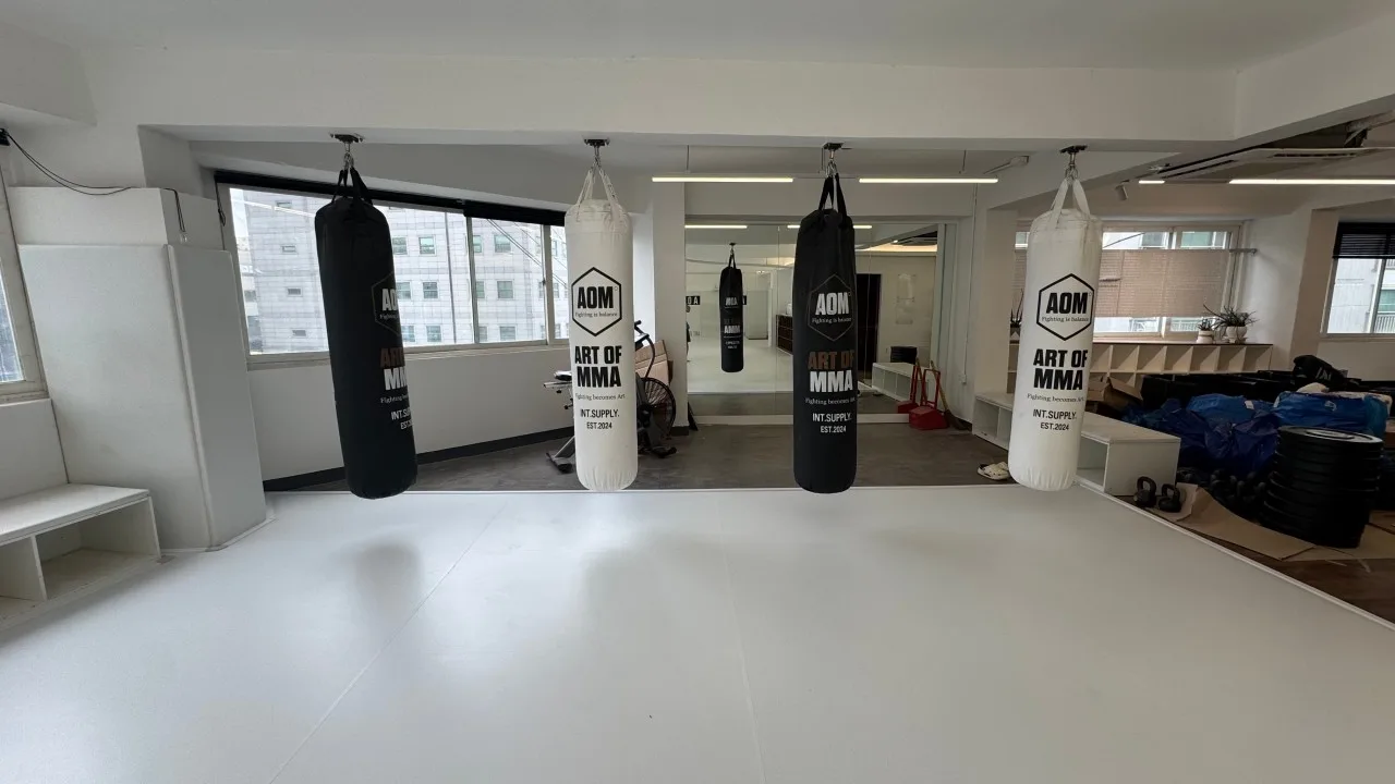 아트오브MMA 킥복싱&주짓수 둔촌점