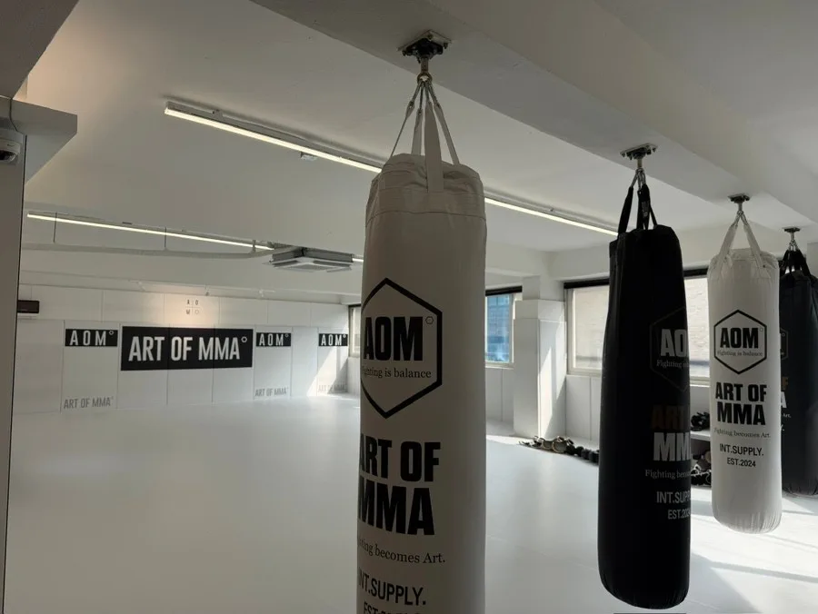 아트오브MMA 킥복싱&주짓수 둔촌점